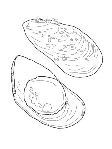 Mussel coloring page 1 - Free printable