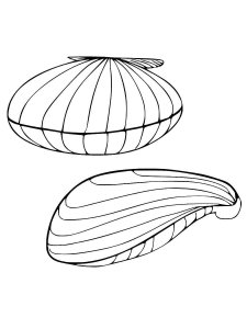 Mussel coloring page 2 - Free printable