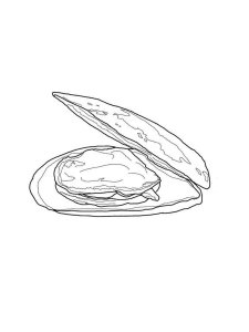 Mussel coloring page 4 - Free printable
