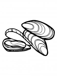 Mussel coloring page 5 - Free printable