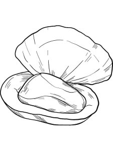 Mussel coloring page 7 - Free printable