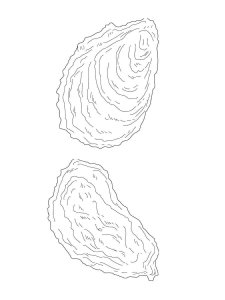 Mussel coloring page 9 - Free printable