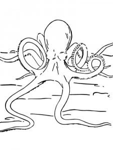 Octopus coloring page 11 - Free printable
