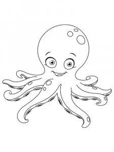 Octopus coloring page 12 - Free printable