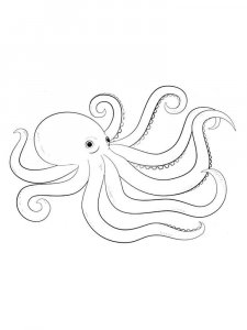 Octopus coloring page 19 - Free printable