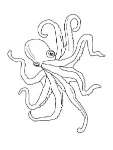 Octopus coloring page 4 - Free printable