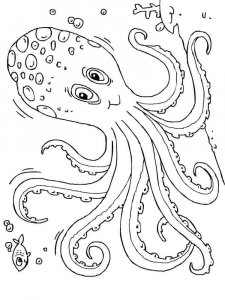 Octopus coloring page 6 - Free printable