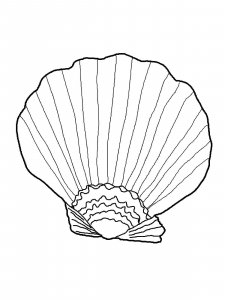 Oyster coloring page 10 - Free printable