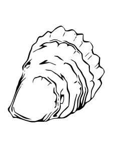 Oyster coloring page 3 - Free printable