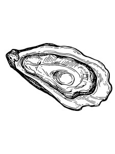 Oyster coloring page 6 - Free printable