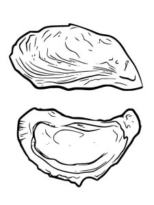 Oyster coloring page 8 - Free printable