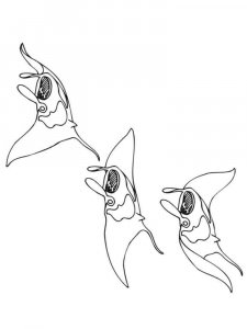 Stingray coloring pages
