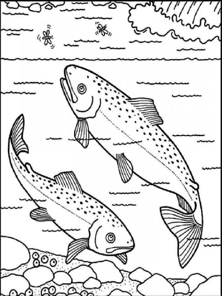 Salmon coloring pages