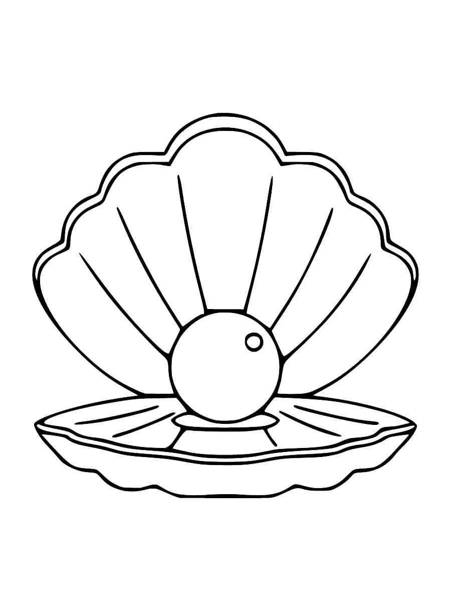 Scallop coloring pages
