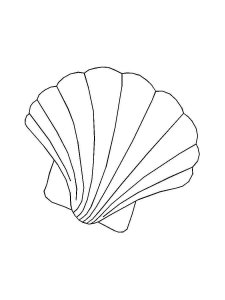 Scallop coloring page 1 - Free printable
