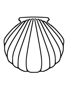 Scallop coloring page 13 - Free printable