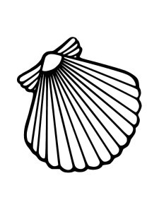 Scallop coloring page 6 - Free printable
