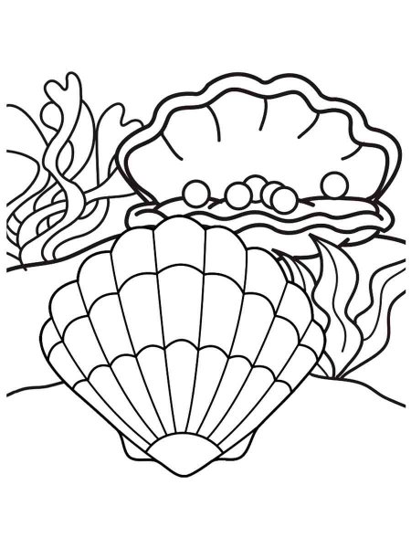 Scallop coloring pages