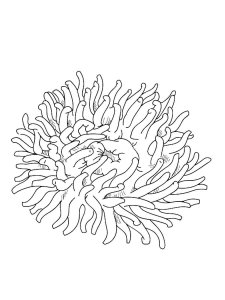 Sea Anemone coloring page 10 - Free printable