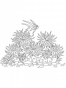 Sea Anemone coloring page 2 - Free printable
