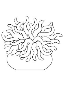 Sea Anemone coloring page 3 - Free printable