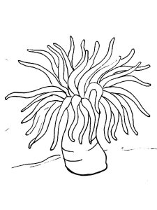 Sea Anemone coloring page 7 - Free printable