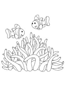 Sea Anemone coloring page 9 - Free printable