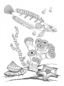 Sea Animal coloring page 14 - Free printable