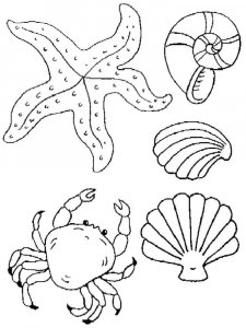 Sea Animal coloring page 22 - Free printable