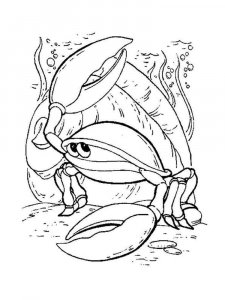 Sea Animal coloring page 24 - Free printable