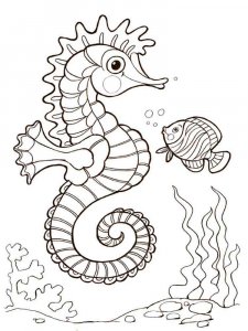 Sea Animal coloring page 25 - Free printable