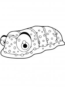 Sea Cucumber coloring page 2 - Free printable