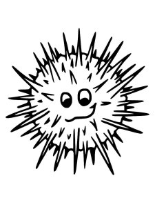 Sea Urchin coloring page 2 - Free printable