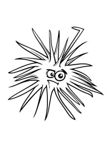 Sea Urchin coloring page 3 - Free printable