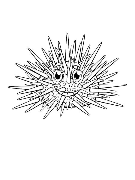 Sea Urchin coloring pages