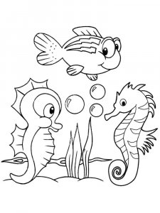 Seahorse coloring page 16 - Free printable