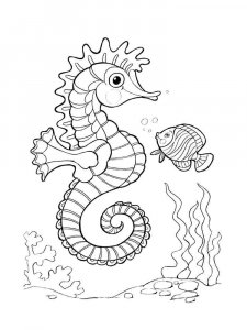 Seahorse coloring page 19 - Free printable
