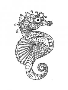 Seahorse coloring page 24 - Free printable