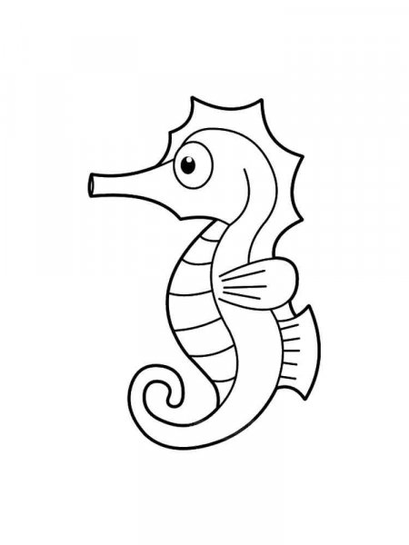 Seahorse coloring pages