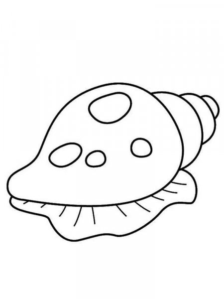 Seashell coloring pages