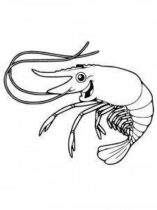 Shrimp coloring page 1 - Free printable