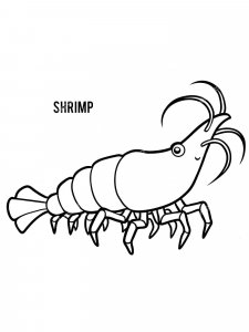 Shrimp coloring page 3 - Free printable