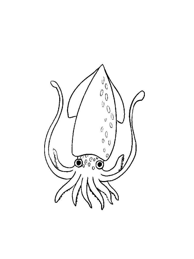 Squid coloring pages. Download and print Squid coloring pages.