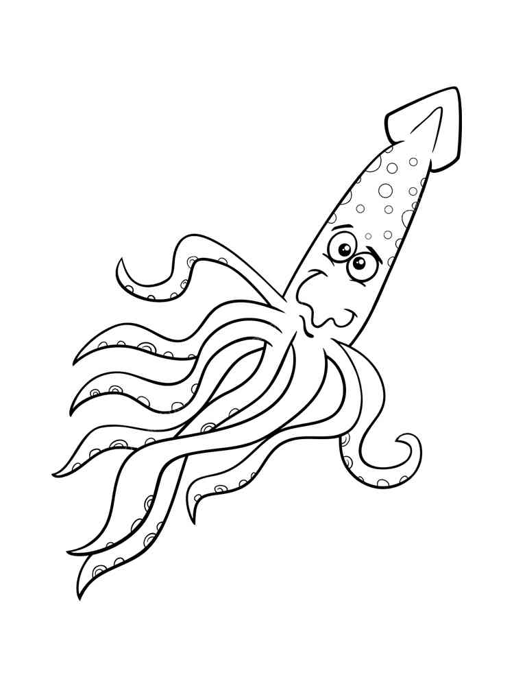 Squid Coloring Pages