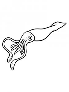 Squid coloring page 12 - Free printable