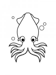 Squid coloring page 2 - Free printable