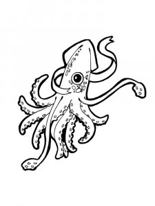 Squid coloring page 7 - Free printable