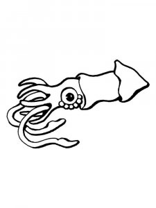 Squid coloring page 9 - Free printable