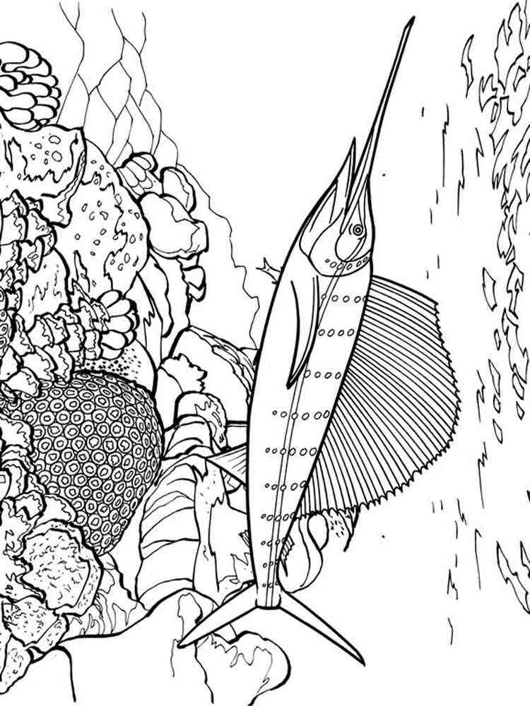 Download Swordfish coloring pages. Download and print Swordfish ...