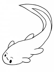 Tadpole coloring page 2 - Free printable